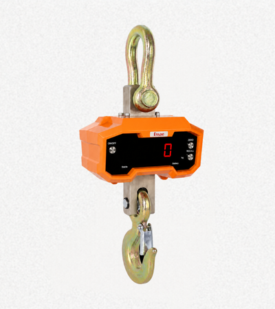 DS-350 Crane Scale